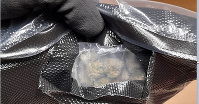 Cannabis hidden in car seat covers seized during Dublin Airport raid