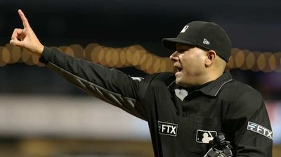 MLB Umpires to Conduct Replay Review Announcements via Microphone