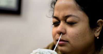 Covid infection levels hit record high as free testing ends for millions