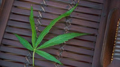 House passes bill to decriminalize marijuana