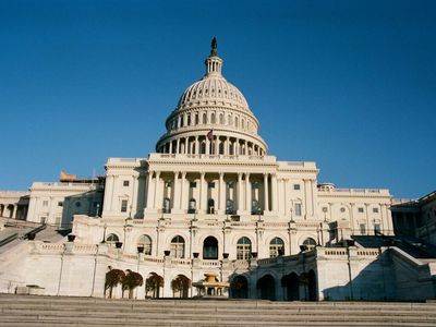 US House Approves Bill To End Federal Cannabis Prohibition, MORE Act: What Does This Mean?