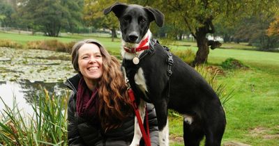 Expert dog trainer urges pet owners to stop taking their pooch on regular daily walks