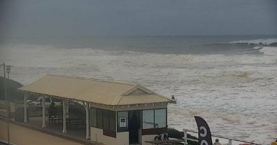 Surfest 2022: Men's next call 12.30pm, women off, with giant waves still hitting coast