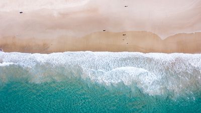 Australia is stumped by possible "alien"