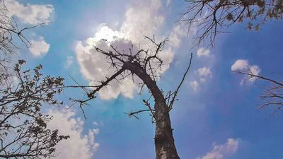 Gurugram weather today: Mercury dips due to winds, likely to rise from Sunday