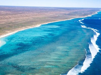 Coral bleaching hits iconic coast in Western Australia