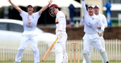 Newcastle cricket grand final set for anti-climactic finish