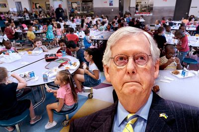 Everybody blames Mitch McConnell