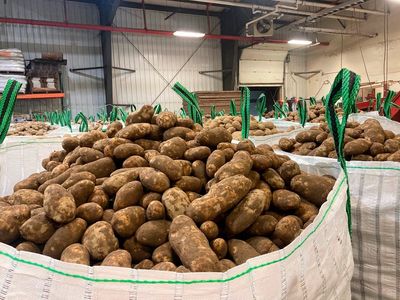 Westward Ho! Maine potatoes travel far after western drought