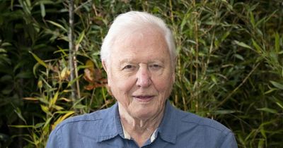 Sir David Attenborough to voice new show, Prehistoric Planet