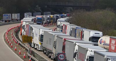 Gridlock at Dover as P&O suspension and bad weather blamed