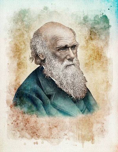 163 years later, new research challenges Darwin's most famous theory about sex