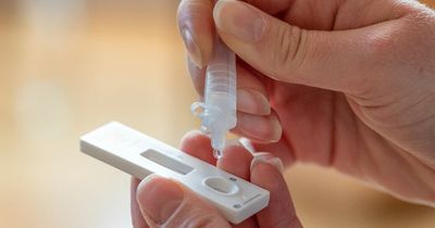 Everyone who can still get Covid test kits for free after April 1 as three groups qualify