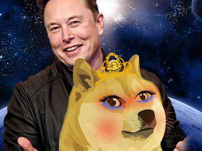 Elon Musk Shares DOGE Video That 'Explains Everything'