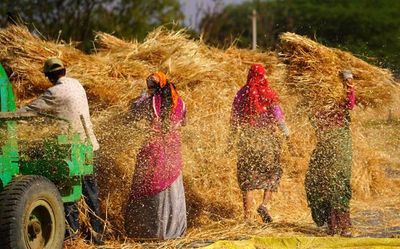 India looks to fill wheat granaries depleted by Ukraine war in many countries