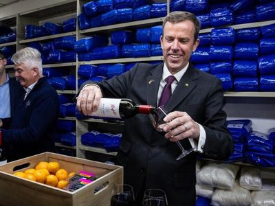 Business groups eye full Aust-India FTA