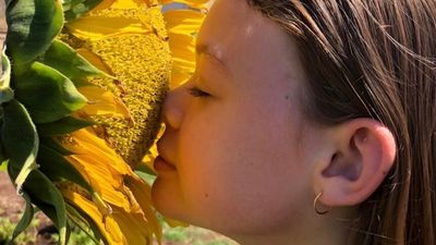 Sunflowers a young farmer's sweet sentiment bringing joy to people stuck in isolation