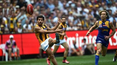 Chris Johnson backs Hawthorn great Cyril Rioli over his break with the club over comments by Hawks' president Jeff Kennett