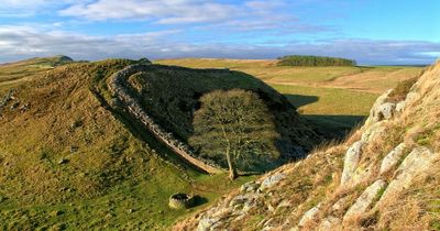 Three North East walks have been named among the most picturesque in the country