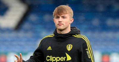 Jesse Marsch hints at his strongest Leeds United line-up with repeated Joe Gelhardt frustration