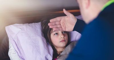 Norovirus symptoms: Six signs to watch for as contagious vomiting bug cases spike in Ireland
