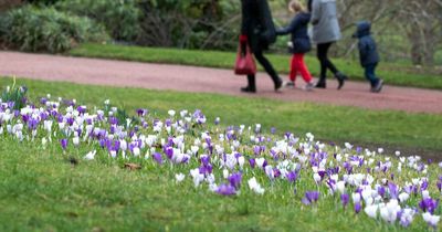 How to visit the Royal Botanic Garden Edinburgh