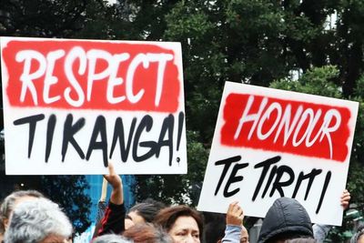 Govt must 'step back' from UK trade deal over Treaty concerns - Māori group