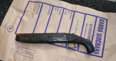 Young man arrested after gardai seize 'double barrel sawn off shotgun' in Kildare