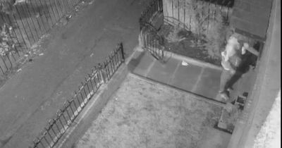 Police appeal as man attempts to enter cars in Downpatrick