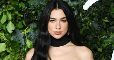 Dua Lipa turned to Russell Brand after struggling with fame and online trolls