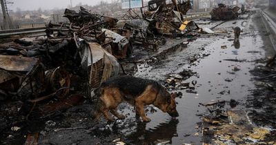 Ukraine accuses Russia of massacre as bodies found in city