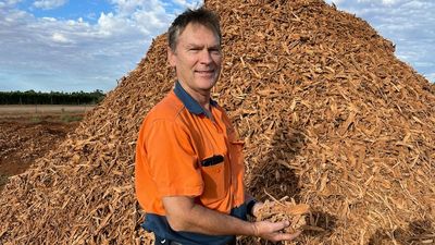 Australian almond industry trials carbon-friendly recycling as an alternative to burning old trees