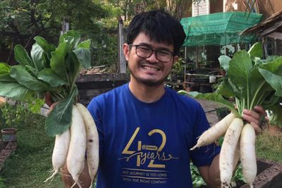 Urban farming becoming key to food security