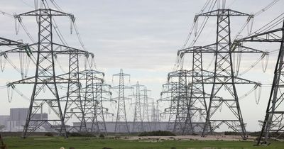 UK must build its green economy to wean off Russian energy, Trade Secretary says