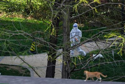 Shanghai to extend lockdown of 26 million people as it reviews COVID test results