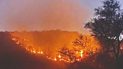 Rajasthan: Another wildfire breaks out in Sariska Tiger Reserve, second in a week