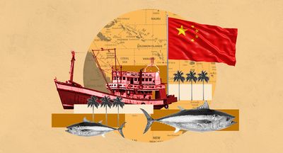 China’s insatiable seafood demand is pushing it to scrape Pacific and South-East Asian waters