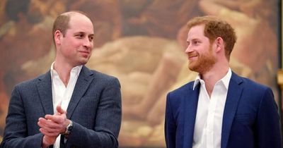 William always there for Harry due to 'unbreakable tie', claims royal expert