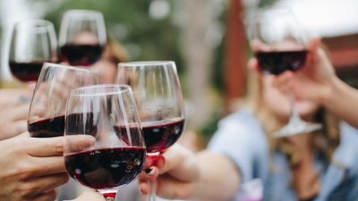 Australia-India Free Trade Agreement cheered by wine exporters and sheep farmers, but dairy and grain miss out