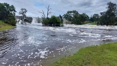 Drenched Southern Downs residents 'grateful' for wet weather