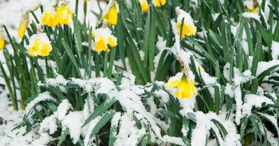 UK weather: Met Office says exactly when it could snow as Easter to see 'wintry showers'