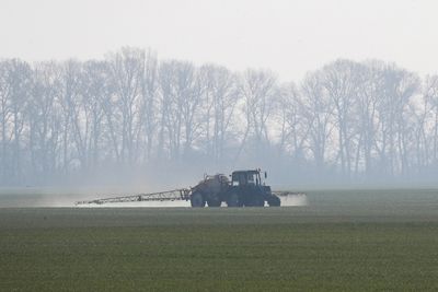 Ukraine's agriculture minister warns over global prices