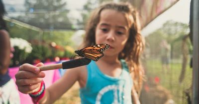 Easter Camps Dublin 2022: The best camps for kids over the holidays