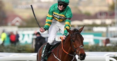 Grand National 2022: L'Homme Presse lined up for Aintree run while Willie Mullins reveals line-up