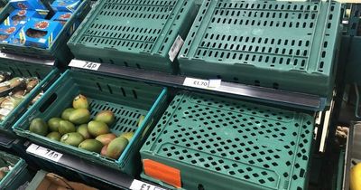 Eggs, tomatoes, oil, bread and wine - everything at risk of shortages in UK