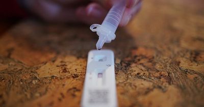 Lateral flow tests: Isolation, results, faint lines and the rules you should follow