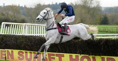 Grand National 2022: 'New mum' Snow Leopardess defying odds at 9/1 with three straight wins