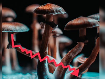Are Psychedelics Stocks In Trouble Or Is The Market Reaching Maturity?