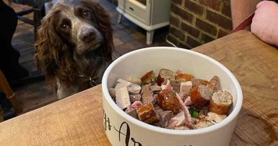 Britain's first dog pub menu includes £1.50 kebabs, curry and 'whatever's in kitchen' mezze