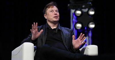Elon Musk becomes Twitter's biggest shareholder after buying $2.9bn stake